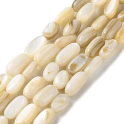 пшеница Натуральные бусины из ракушек трохуса, овальные, цвет пшеницы, 8~10x4~5.5x3~5 мм, отверстие : 0.6 мм, около 41 шт / нитка, 15.55'' (39.5 см)