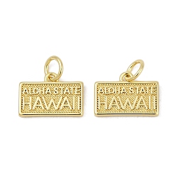 Настоящее золото 18K Латунь прелести, прямоугольник со словом hawaii, с целью перехода в кольце, без кадмия и без свинца, стойки покрытие, долговечный, реальный 18 k позолоченный, 9x13x1.5 мм, отверстие : 3.4 мм