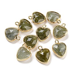 Лабрадорита Ограненные сердечки из натурального лабрадорита, с золотым оттенком латуни, 13.5x11x5 мм, отверстие : 1.6 мм