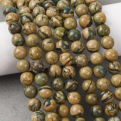 Природный Драгоценный Камень Натуральные зеленые бусины с прожилками дракона, гладкий круглый, 6.5 мм, отверстие : 0.6 мм, около 61 шт / нитка, 15.35'' (39 см)