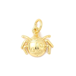 Spider Латунь прелести, долговечный, без свинца и без кадмия, стойки покрытие, с целью перехода в кольце, реальный 18 k позолоченный, паук, 11.5x12x3.5 мм, отверстие : 3 мм
