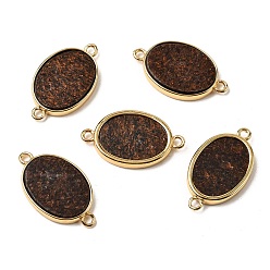 Биотит Подвески-коннекторы из натурального биотита, с латунными накладками на стойку, овальные связи, золотые, 26x15x3.5 мм, отверстие : 1.8 мм