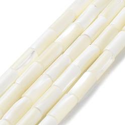 (404) Непрозрачное AB Кислое яблоко Натуральные бусины из ракушек трохуса, колонка, цветочный белый, 15.5~16x6.5 мм, отверстие : 0.6 мм, около 25 шт / нитка, 15.35'' (39 см)