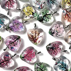 (52) Непрозрачная лаванда Прозрачные стеклянные подвески, с натуральным сухоцветом внутри, сердце, разноцветные, 27x20x10.5 мм, отверстие : 4.5x2.5 мм