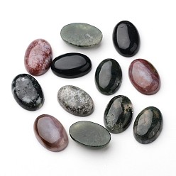 Indian Agate Natural Indian Agate Oval Cabochons, 30x20x9mm