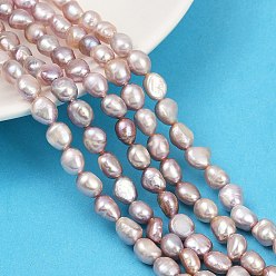 чертополох Нити из натурального культивированного пресноводного жемчуга, двух сторон полированной, класс 4а++, чертополох, 7~8 мм, отверстие : 0.6 мм, около 36~37 шт / нитка, 13.54~13.82'' (34.4~35.1 см)