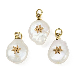 Цветок Натуральные кеши жемчужные подвески, подвески-слезинки с 316 ломтиками из нержавеющей стали, ионное покрытие (ip), реальный 18 k позолоченный, цветочный белый, цветок, 15~18x10~12x6~7 мм, отверстие : 2.8 мм