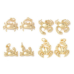 Mixed Shapes Латунные подвески, морские животные амулеты, без кадмия и без свинца, стойки покрытие, долговечный, с целью перехода в кольце, разнообразные, 12~17.5x14~16.5x3~204 мм, отверстие : 3 мм