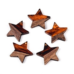 Сэнди Коричневый Подвески из смолы и ореха, звезда, песчаный коричневый, 20.5x22~22.5x3.5 мм, отверстие : 1.5 мм