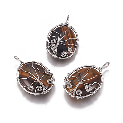 Тигровый глаз Природных тигровый глаз подвески, с латунной фурнитурой , овальные с деревом, платина, 43.5x26x9 мм, отверстие : 5.5x4 мм