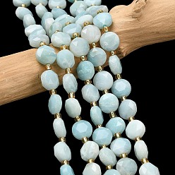 Flower Amazonite Натуральный цветок амазонитовые бусины пряди, граненый шестиугольный разрез, плоско-круглые, с бисером, 8~8.5x5 мм, отверстие : 1.2 мм, около 36~37 шт / нитка, 15.35~15.75'' (39~40 см)