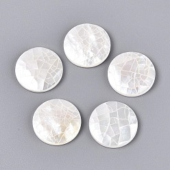 Морская Ракушка Натуральный белый кабошоны оболочки, потрескивание плоский круглый, цвет морской раковины, 20x3.5 мм