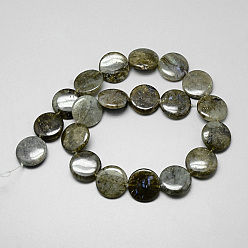 Labradorite Natural Labradorite Beads Strands, Flat Round, 20x4~7mm, Hole: 1mm, about 20pcs/strand, 15.7 inch