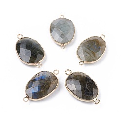 Лабрадорита Натуральные лабрадоры соединители, с латунной фурнитурой , граненые, овальные, золотые, 30x17x5.5 мм, отверстие : 1.8 мм