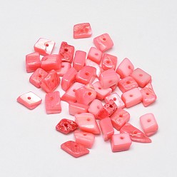 Pink Крашеные натуральные пресноводные ракушки, осколки оболочки, розовые, 7~11x5~8 мм, отверстие : 1 мм, Около 980 шт / 500 г