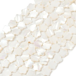 Морская Ракушка Естественных пресноводных оболочки бисер нитей, цветок, цвет морской раковины, 10x10.5x2.5 мм, отверстие : 0.8 мм, около 39~40 шт / нитка, 14.96''~15.35'' (38~39 см)