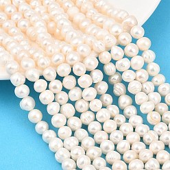 Бежевый Нити из натурального культивированного пресноводного жемчуга, картофель, класс a ++, бежевые, 7~8 мм, отверстие : 0.5 мм, около 51 шт / нитка, 13.50'' (34.3 см) ~ 13.66'' (34.7 см)