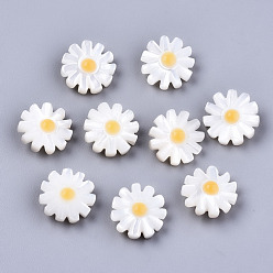 Seashell Color Natural White Shell Mother of Pearl Shell Beads, Flower, Seashell Color, 12x4.5mm, Hole: 0.9mm