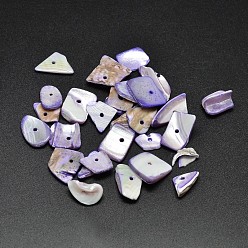 Средний Синий Шифер Окрашенные натуральные ракушки, чипсы, бусины, средний грифельно-синий, 9~23x7~12 мм, отверстие : 1 мм, Около 1150 шт / 500 г