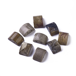 Деревянное Окаменение Многожильные звенья из натурального окаменелого дерева, арка, 14.5~15x9~10.5x6.5~7.5 мм, отверстие : 1~1.2 мм