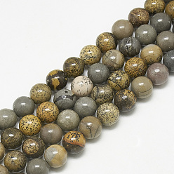 Dendritic Jasper Natural Dendritic Jasper Beads Strands, Chohua Jasper, Round, 6mm, Hole: 1mm, about 68pcs/strand, 15.7 inch