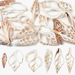 Seashell Color 18Pcs 6 Styles Natural Shell Big Pendants, Shell Slice Charms, Seashell Color, 28~66x9.5~34x4~11mm, Hole: 1.5~15mm, 3pcs/style