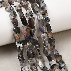 Лунный Камень Натуральный лунный камень бисер нитей, самородки, 4~10x5~8x4~7.5 мм, отверстие : 0.8 мм, около 55~58 шт / нитка, 16.14'' (41 см)