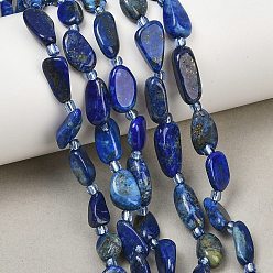 Lapis Lazuli Colliers de perles de lapis-lazuli naturel, nuggets, 8~15x7~11x3.5~7.5mm, Trou: 0.8mm, Environ 31~39 pcs/chapelet, 15.75'' (40 cm)