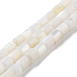 Nieve Cuentas de concha de perla natural hebras, columna, nieve, 4~5.5x5 mm, agujero: 0.6 mm, sobre 74~75 unidades / cadena, 14.76~14.96 pulgada (37.5~38 cm)