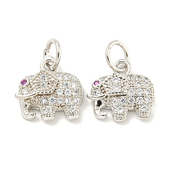 Слон Покрытие стойки латунь микропаве прозрачные подвески из кубического циркония, долговечный, с прыжковых колец, без свинца и без кадмия, реальный 18 k позолоченный, слон, 11x11x3.5 мм, отверстие : 3 мм