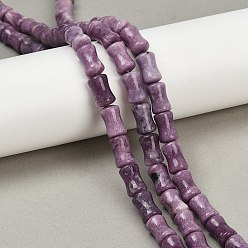 Лепидолит Натуральный лепидолит / пурпурный слюдяный камень бисер пряди, бамбуковую палку, 12~12.5x8 мм, отверстие : 1 мм, около 32 шт / нитка, 15.28~15.35'' (38.8~39 см)