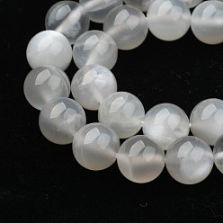 White Moonstone Natural White Moonstone Beads Strands, Round, 8mm, Hole: 1mm, about 50pcs/strand, 15.7 inch(40cm)