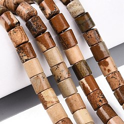 Пейзажный Джаспер Естественного изображения яшмы бисер нитей, колонка, 8x8~8.5 мм, отверстие : 0.8~1 мм, около 45 шт / нитка, 14.76~14.96 дюйм (37.5~38 см)