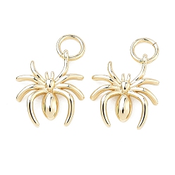 Настоящее золото 18K Латунные подвески, прелести паука, долговечный, стойки покрытие, без свинца и без кадмия, реальный 18 k позолоченный, 13x11x2.5 мм, отверстие : 3 мм, Перейти кольцо: 5x1 мм