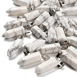 Говлит Природные подвески Говлит, из нержавеющей стали с цветным покрытием 201 защелки из нержавеющей стали на дужках, 25.5~26.5x8~9x8~9 мм, отверстие : 7x4 мм