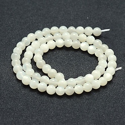 White Moonstone Natural White Moonstone Beads Strands, Grade A-, Round, 8mm, Hole: 1mm, about 49pcs/strand, 15.5 inch(39.5cm)