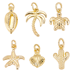 Настоящее золото 18K 36 шт 6 стили латунные подвески, долговечный, с целью перехода в кольце, реальный 18 k позолоченный, 11~16.5x7.5~12x1.5~3.2 мм, отверстие : 2~3.5 мм, 6 шт / стиль