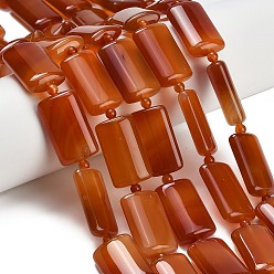 Красный Агат Природного сердолика нитей бисера, окрашенная и подогревом, прямоугольные, с бисером, 24.5~26.5x15~17x7.5~8 мм, отверстие : 0.8~1.2 мм, около 13~14 шт / нитка, 15.51'' (39.4 см)