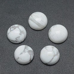 Говлит Природные кабошонов Говлит, полукруглый, 14~14.5x6 мм