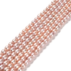 Dark Salmon Natural Cultured Freshwater Pearl Beads Strands, Rice, Grade 4A, Dark Salmon, 6~7x4~4.5mm, Hole: 0.5mm, about 58pcs/strand, 14.69''(37.3cm)