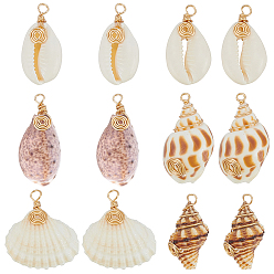 Mixed Shapes 36шт 6 стили натуральные подвески из смешанных ракушек, Подвески в форме ракушек, обернутые медной проволокой, реальный 18 k позолоченный, разнообразные, 23~35.5x12.5~20x8.5~17.5 мм, отверстие : 1.6~2 мм, 6 шт. / Ячмень