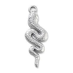 Нержавеющая Сталь Цвет 304 подвески из нержавеющей стали, очарование змеи, анти-тускнение, цвет нержавеющей стали, 31x11x2 мм, отверстие : 2 мм