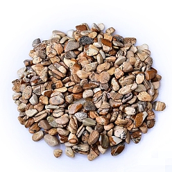 Пейзажный Джаспер Натуральная фотография яшма падающие чипсы, для проектов домашнего рукоделия и украшения цветочных горшков, аквариумов, 3~5 мм, около 100 г / набор