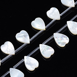 White Shell Natural White Shell Beads Strands, Heart, 13.5x10x2mm, Hole: 0.5~0.7mm, about 20pcs/strand, 12.56 inch(31.9cm)