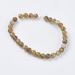 Dragon Veins Agate Natural Dragon Veins Agate Beads Strands, Dyed, Round, Olive, 6mm, Hole: 1mm