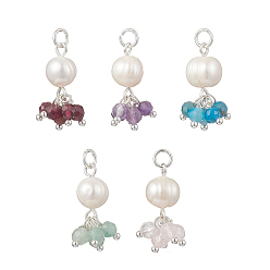 Серебро Подвески из натурального зеленого авантюрина, граната, аметиста, розового кварца, апатита, ограненные круглые и картофельные жемчужины, подвески-кисточки с бусинами и 304 соединительными кольцами из нержавеющей стали, разноцветные, серебряные, 21.5x11 мм, отверстие : 3.3 мм