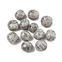Джаспер Кунжут Натуральный кунжута яшмы бусы, обваленные камни, нет отверстий / незавершенного, самородки, 20~56x18~30.5x8~28 мм