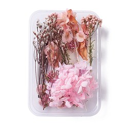 Dried Flower Сухоцветы, аксессуары для изготовления мыла из свечей своими руками, с пластиковой прямоугольной коробкой, розовые, 2.2~15.5x1.7~7.6 см