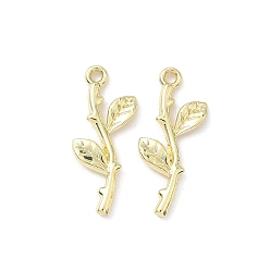 Золотой Подвески из сплава , стойки покрытие, лист, золотые, 23x10x2 мм, отверстие : 1.4 мм