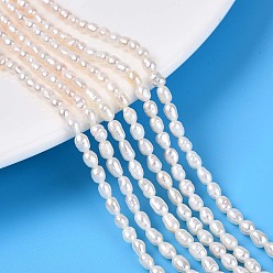 Кремово-белый Нити из натурального культивированного пресноводного жемчуга, рис, кремово-белые, 2.5~5x2.5~3 мм, отверстие : 0.3~0.4 мм, около 83~88 шт / нитка, 14.02~14.45'' (35.6~36.7 см)